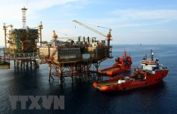 Добыча сырой нефти Petrovietnam достигает годовой цели