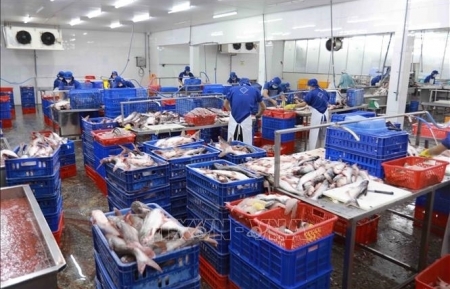 Экспорт морепродуктов превысил $10 млрд