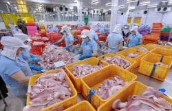 Экспорт продукции сельского, лесного и рыбного хозяйства за 11 месяцев 2022 года превысил рекордный показатель 2021 года