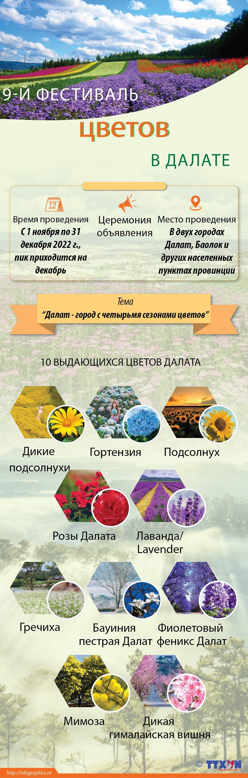 9-й фестиваль цветов в г.Далате