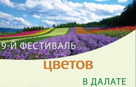9-й фестиваль цветов в г.Далате