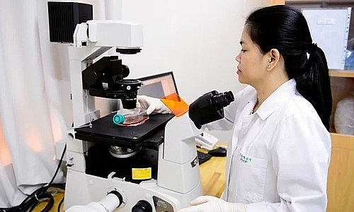 Vietnam ranks top 10 Asia-Pacific in high-quality published researches vietnam ranks top 10 asia pacific in high quality published researches by nature index