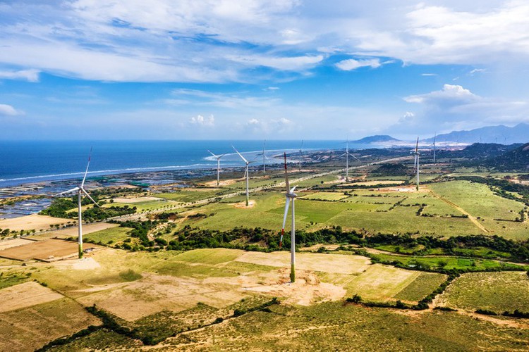 Exploring the stunning beauty of Ninh Thuan province exploring the stunning beauty of ninh thuan province