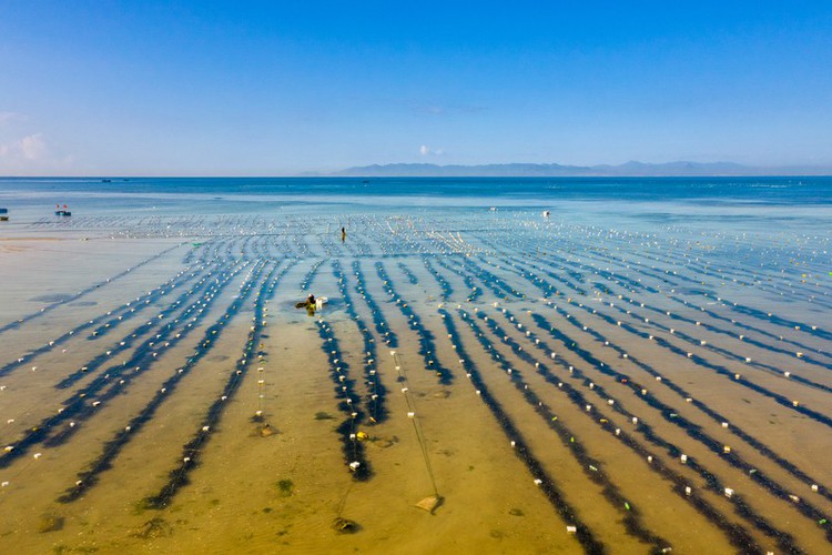 Exploring the stunning beauty of Ninh Thuan province exploring the stunning beauty of ninh thuan province