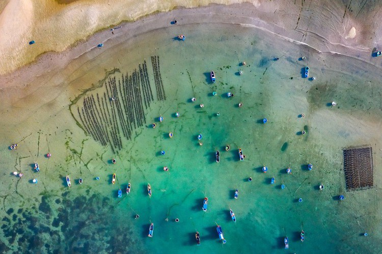 Exploring the stunning beauty of Ninh Thuan province exploring the stunning beauty of ninh thuan province