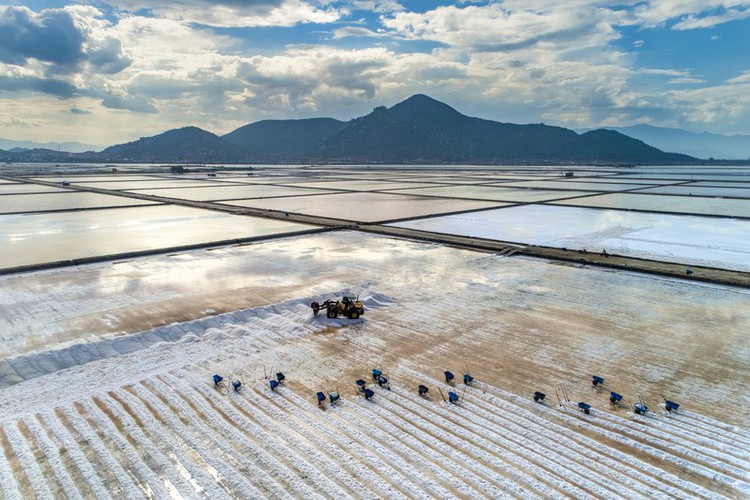 Exploring the stunning beauty of Ninh Thuan province exploring the stunning beauty of ninh thuan province