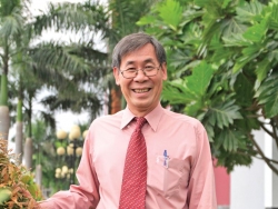 5 phim viet dac sac den voi kieu bao ba lan