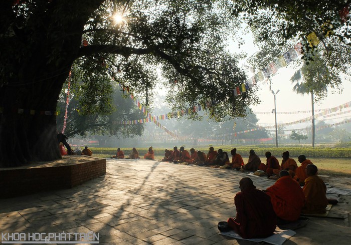 Đại lễ Vesak 2019: Cơ hội tăng cường tình hữu nghị, hợp tác dai le vesak 2019 co hoi tang cuong tinh huu nghi hop tac