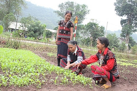 Plan giúp phụ nữ thiểu số tạo dựng niềm tin từ mô hình vốn vay thôn bản plan giup phu nu thieu so tao dung niem tin tu mo hinh von vay thon ban