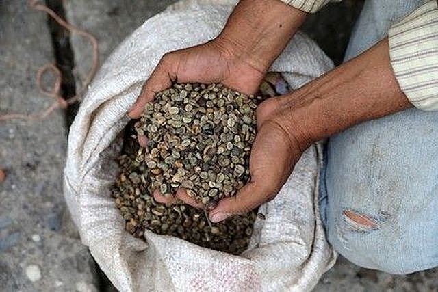 Tiền mất giá, người Venezuela đổi cá lấy gạo tien mat gia nguoi venezuela doi ca lay gao