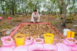 du an nparenew bat dau khao sat dau vet bom min tai tpdong ha quang tri