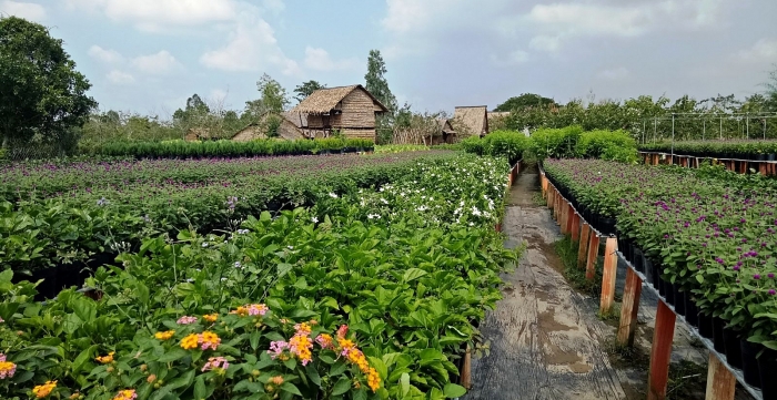 Du khách đến từ gần 30 quốc gia "phải lòng" homestay tre nứa Việt Nam be ban chau au phai long homestay tre nua