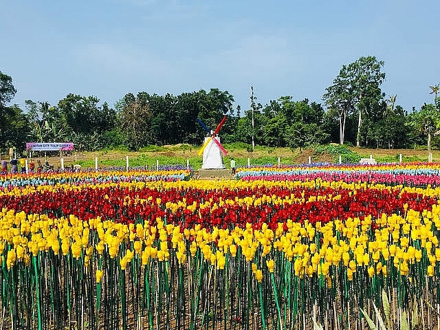 Philippines: Vườn tulip lung linh "nảy mầm" từ rác thải nhựa philippines vuon tulip lung linh nay mam tu rac thai nhua
