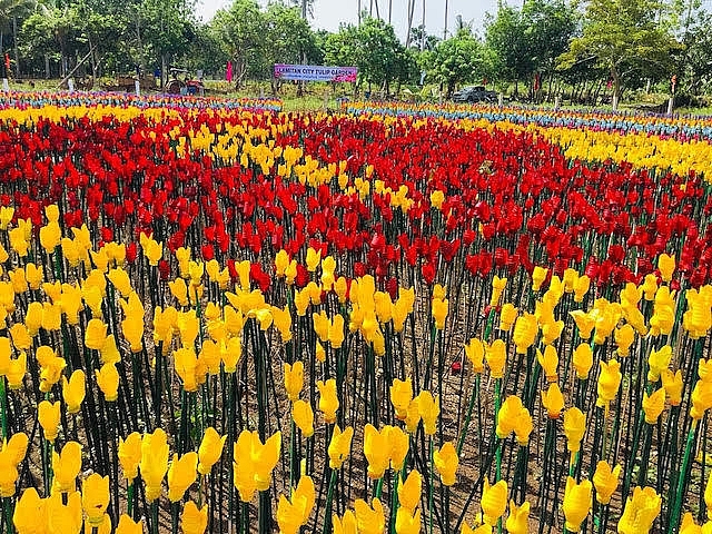 Philippines: Vườn tulip lung linh "nảy mầm" từ rác thải nhựa philippines vuon tulip lung linh nay mam tu rac thai nhua