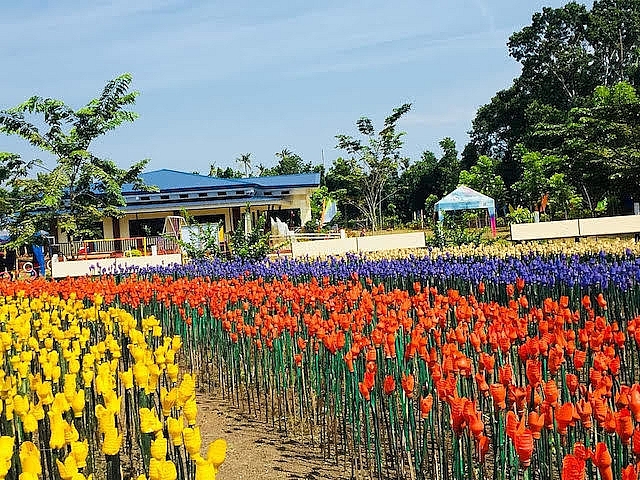 Philippines: Vườn tulip lung linh "nảy mầm" từ rác thải nhựa philippines vuon tulip lung linh nay mam tu rac thai nhua