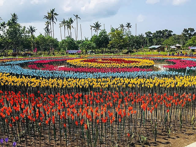 Philippines: Vườn tulip lung linh "nảy mầm" từ rác thải nhựa philippines vuon tulip lung linh nay mam tu rac thai nhua