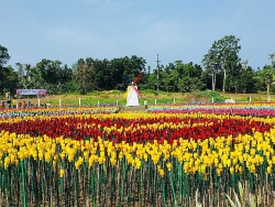 hoi cho quoc te tai philippines nem pho viet dat khach
