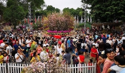 tong lanh su quan tai osaka tich cuc quang ba hinh anh viet den voi nguoi dan nhat