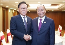 thu tuong nguyen xuan phuc du hoi nghi thuong dinh ceo asean han quoc