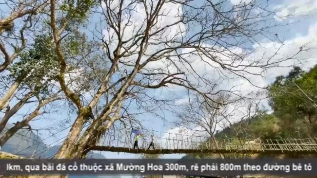 Khám phá cầu Mây cổ Sa Pa