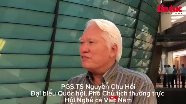 Video PGS.TS Nguyễn Chu Hồi, Phó Chủ tịch thường trực Hội Nghề cá Việt Nam trả lời về IUU: