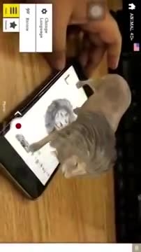 HƯỚNG DẪN TẢI VẢ SỬ DỤNG APP ANIMAL 4D CHO MẸ VÀ BÉ