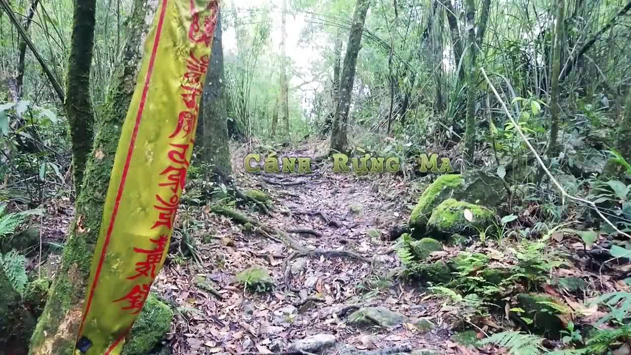 gian nan duong len chua dia nguc o tam dao