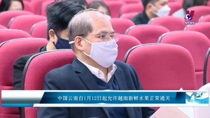 中国云南自1月12日起允许越南新鲜水果正常通关