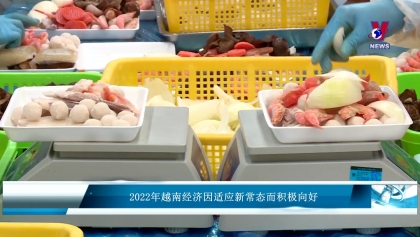 2022年越南经济因适应新常态而积极向好