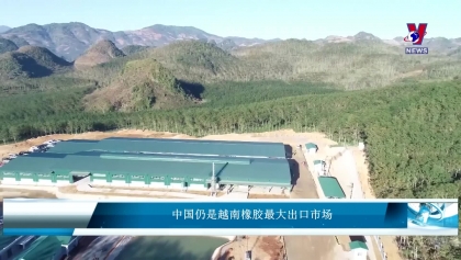 中国仍是越南橡胶最大出口市场
