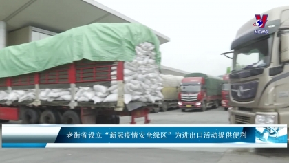 老街省设立“新冠疫情安全绿区”为进出口活动提供便利