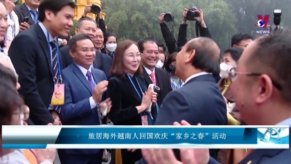 旅居海外越南人回国欢庆“家乡之春”活动