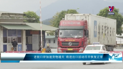 老街口岸加速货物通关 将进出口活动尽早恢复正常