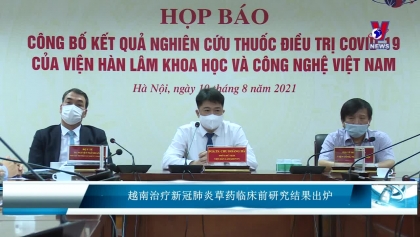 越南治疗新冠肺炎草药临床前研究结果出炉
