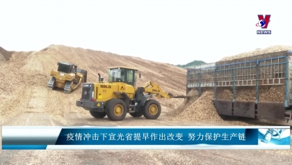 疫情冲击下宣光省提早作出改变 努力保护生产链