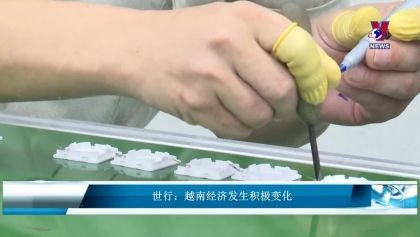 世行：越南经济发生积极变化