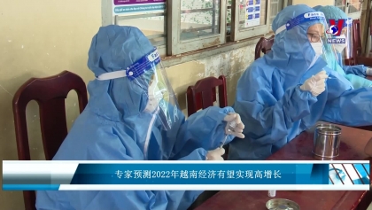 专家预测2022年越南经济有望实现高增长