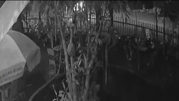 csgt tong chet nguoi