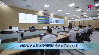 越南数据库领域受到国际投资者的大力关注