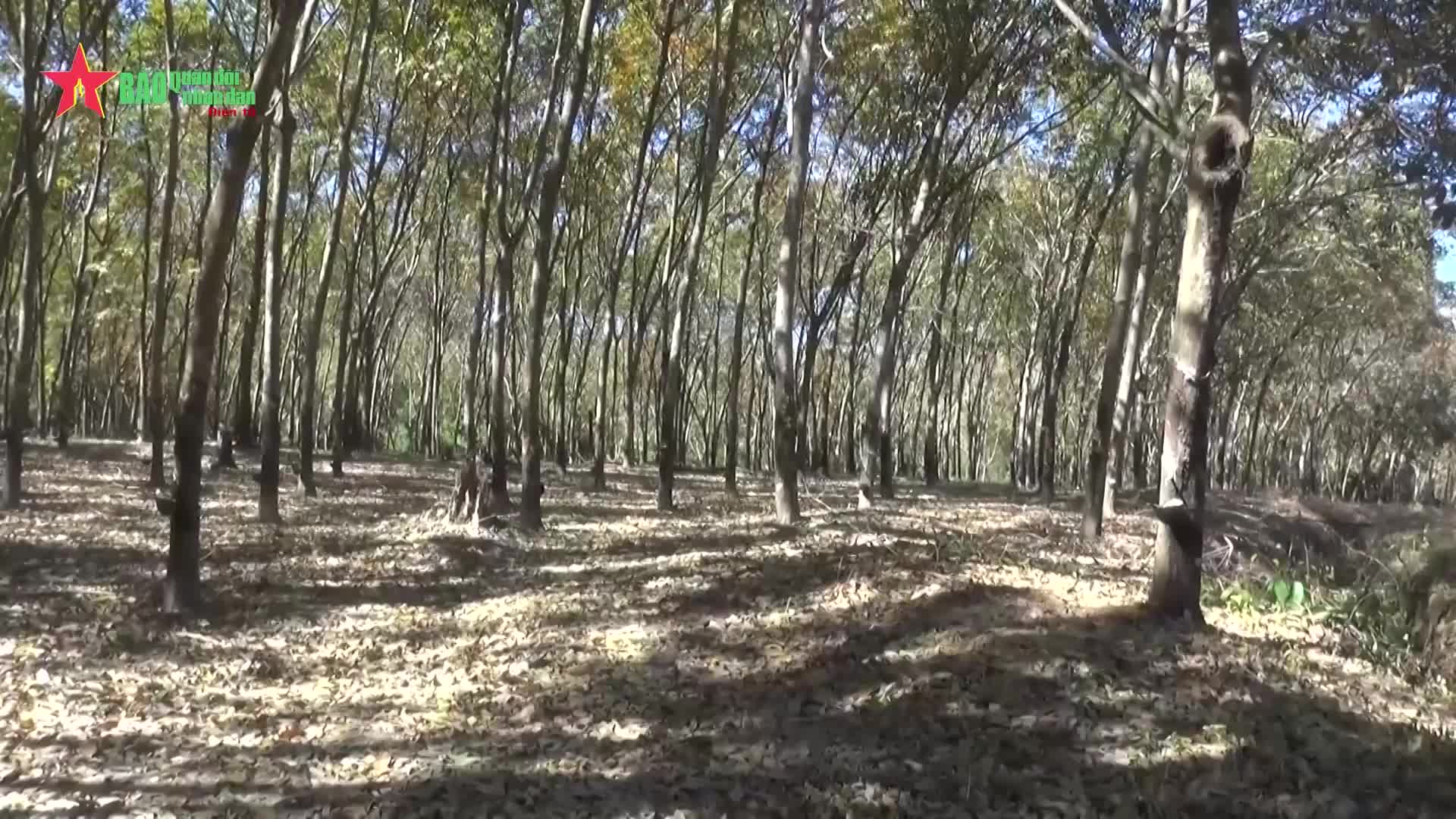 Video: ນໍ້າໃຈຊື່ສັດບໍລິສຸດ ຫວຽດນາມ-ລາວ