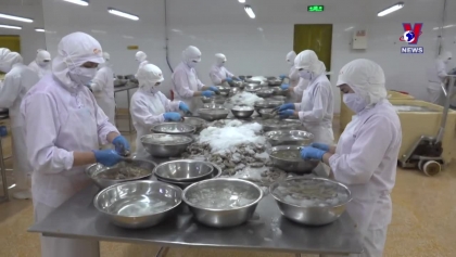 充分利用EVFTA 协定 越南致力打造企业品牌